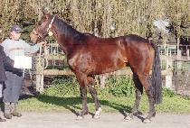 �ʸ��� (PHILIPPE) ����