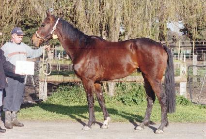 �ʸ��� ����