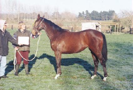 �ظ�� ����