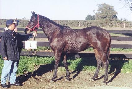 �ƽ�Ʈ��þ� ����