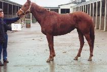 �븮�� (NO REASON) ����