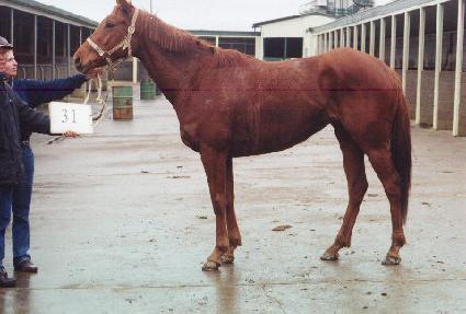 �븮�� ����