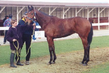 ĳ������ ����