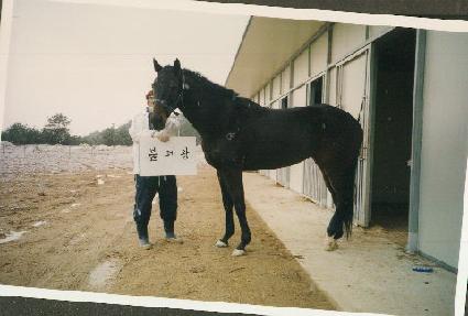 ���п� ����