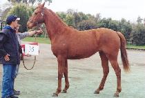 �ϵ�ٴ� (ILDEUNG BADA) ����