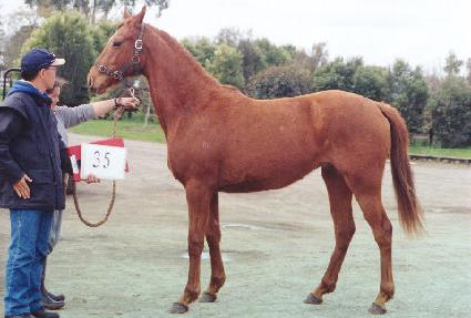 �ϵ�ٴ� ����