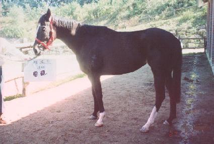 ĳ��Ʈ ����