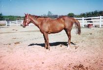 �̹�ƮǮ (EVENTFUL) ����