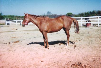 �̹�ƮǮ ����