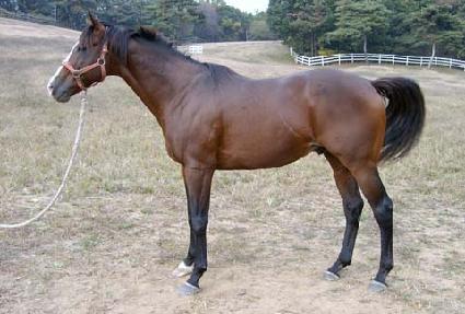 �������� ����