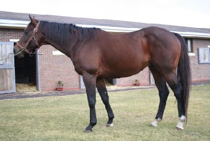 �Ҽ����� ����