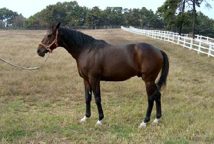 ���׷������ ����