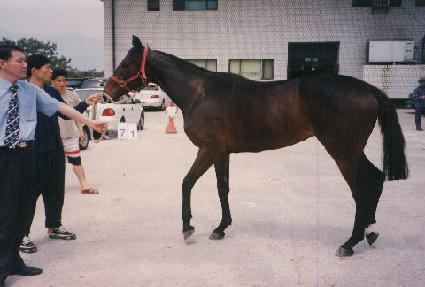 �ٷγ� ����