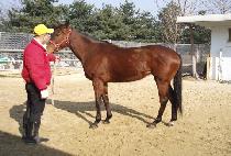 ������� (JAEMIJOEUN) ����