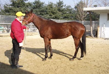 ������� ����