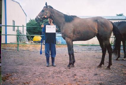 �۷��̾� ����