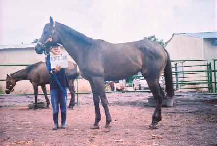 ������� ����