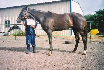 SENSATIONALKRIS picture