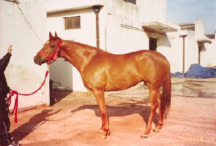 �۽�Ʈ���� ����