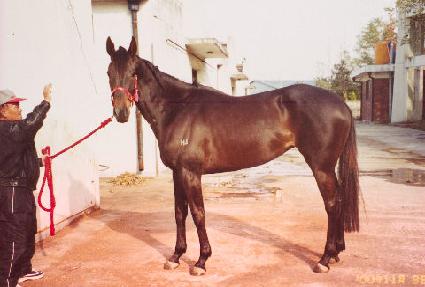 �������� ����