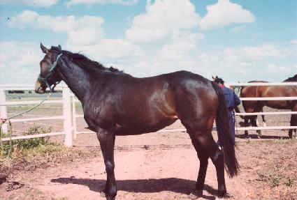 �츮�� ����