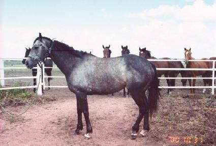 ī���� ����