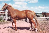 ũ���̰��� (CLAY GODDESS) ����