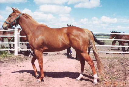 ũ���̰��� ����