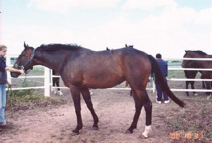 �ĺ��̽� ����