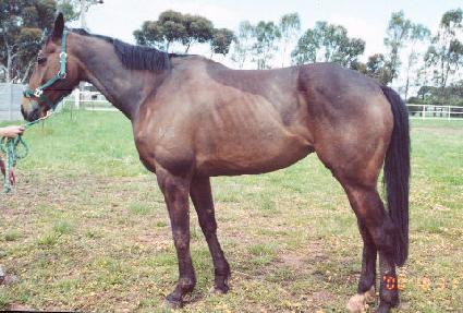 �������κ� ����