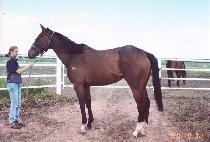 ����ĳ�� (MOMMA CASS) ����