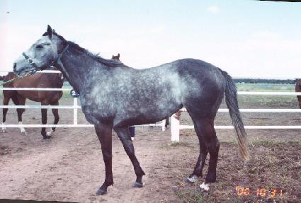 �и���Ʈ�ֹ��� ����