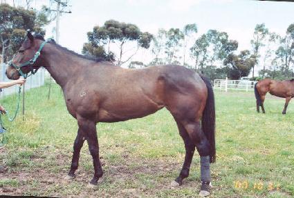 �뽺���ũ��� ����