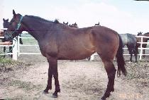 LEAVE THE NEST picture