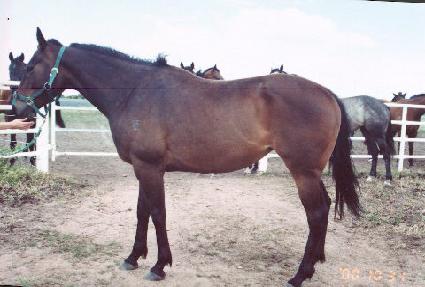 ������׽�Ʈ ����