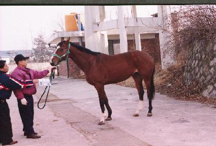 ���� ����