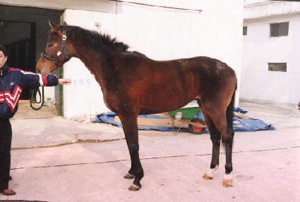 ���� ����