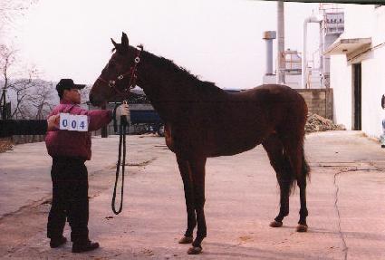 �ΰպ� ����