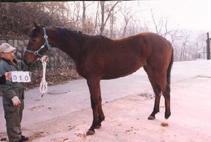 �ٵ� ����