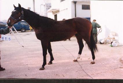 �𸮽� ����