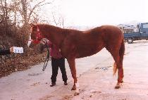 �����϶� (GARINIT) ����