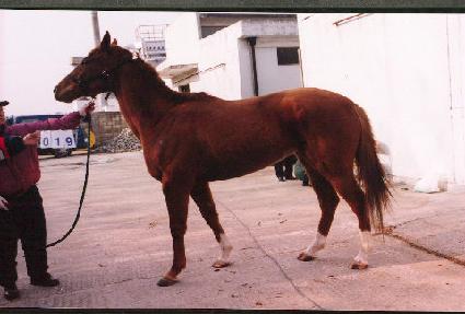 ��ٹ� ����