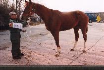 �ƽ����� (ASKHAB) ����