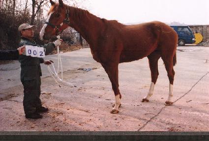 �ƽ����� ����