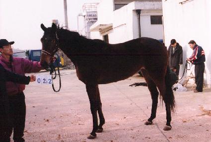 ���긮����� ����