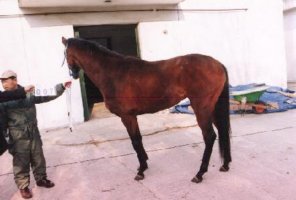 �԰ַ����� ����