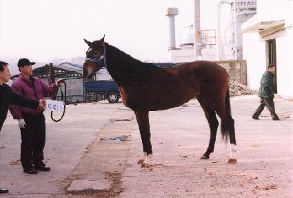 �Ʊ���Ǹ� ����