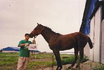 ���� (ALKWO) ����