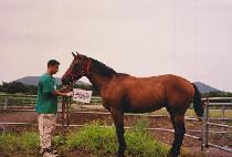 �����ǳ (NOKSAN TYPHOON) ����