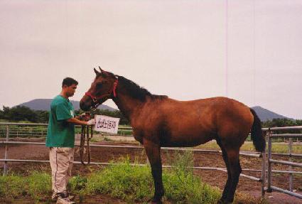 �����ǳ ����